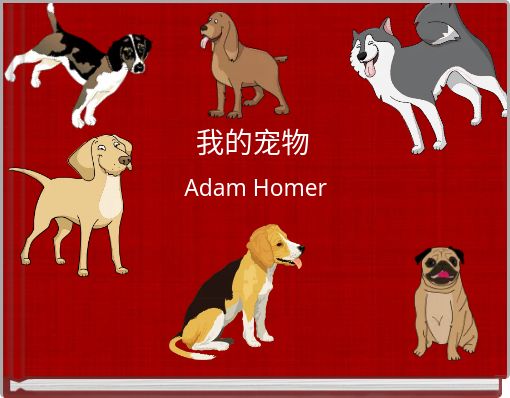 我的宠物
