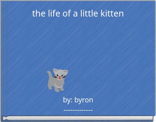 the life of a little kitten