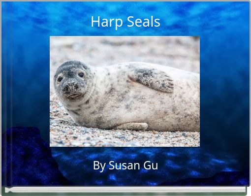 Harp Seals