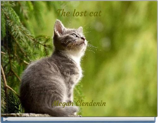 Book Cover for: The lost cat
