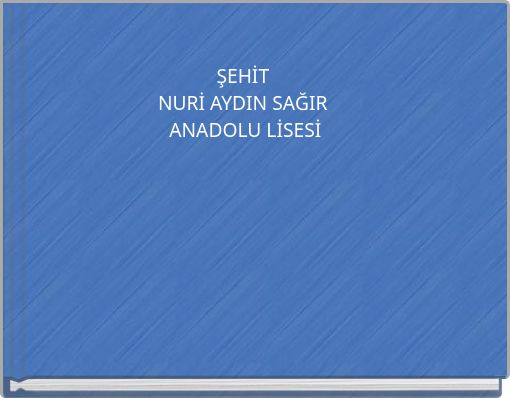 ŞEHİT NURİ AYDIN SAĞIR ANADOLU LİSESİ
