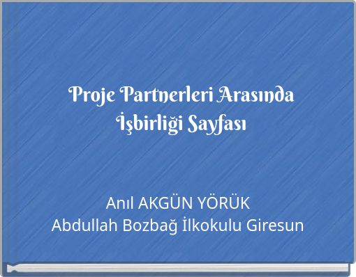 Proje Partnerleri Arasında İşbirliği Sayfası