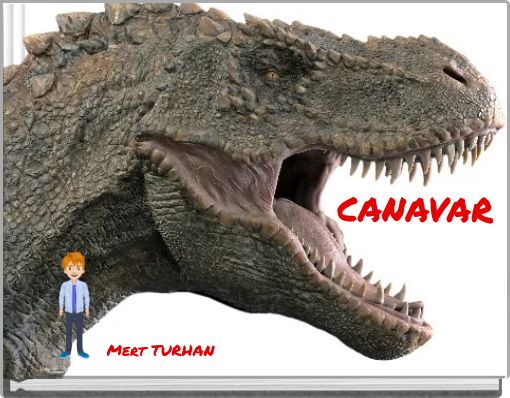 Front cover of 'CANAVAR' 