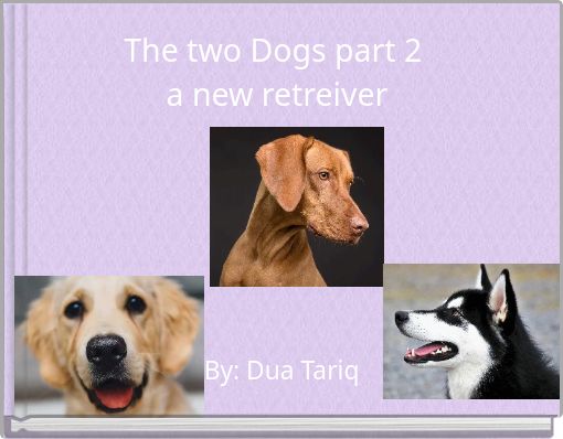 The two Dogs part 2 a new retreiver