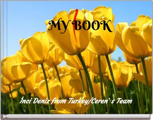 Front cover of 'MY BOOK' 