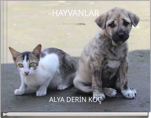 Front cover of 'HAYVANLAR' 