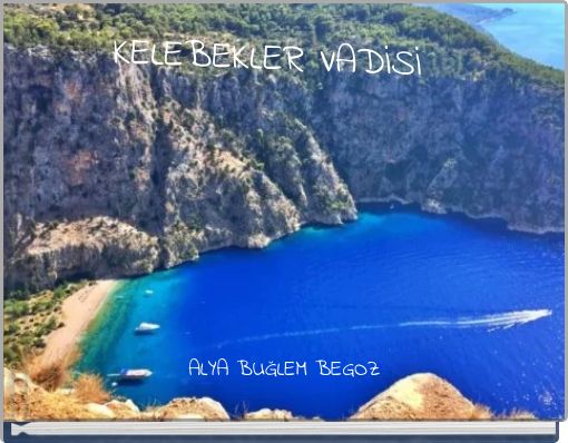 Front cover of 'KELEBEKLER VADİSİ' 