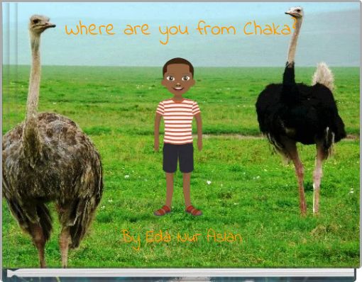 Front cover of 'Where are you from Chaka?' 