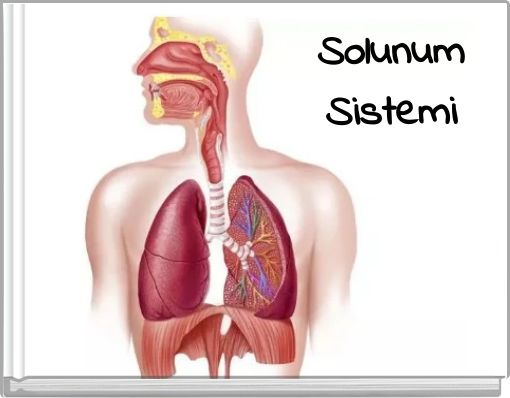 Front cover of 'Solunum Sistemi' 