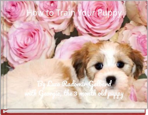 Front cover of 'How to Train Your Puppy' 