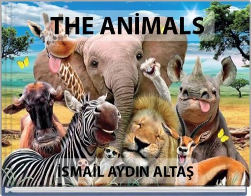 Front cover of 'untitled' 