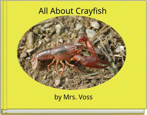 All About Crayfish