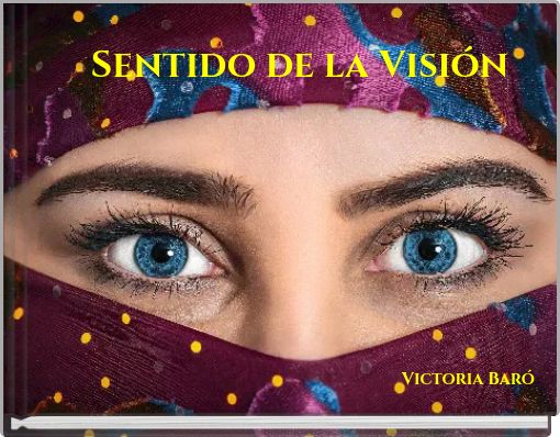Sentido de la Visión