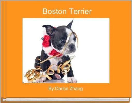 Front cover of ' Boston Terrier' 