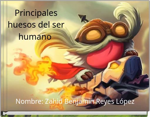 Principales huesos del ser humano