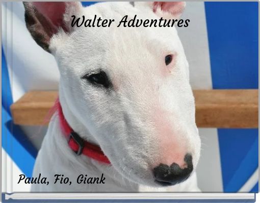 Walter Adventures
