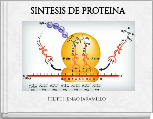 SINTESIS DE PROTEINA