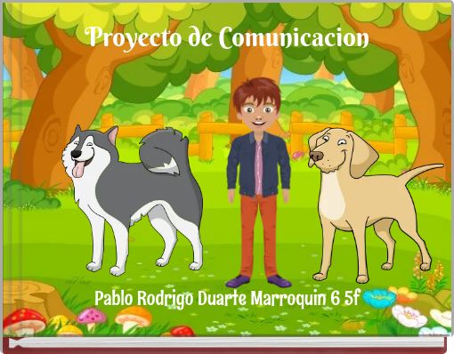 Proyecto de Comunicacion