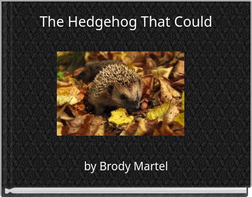 The Hedgehog That Could