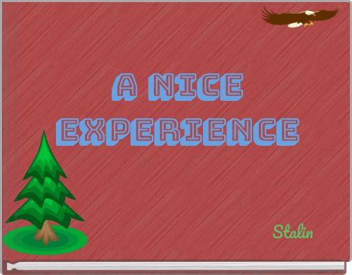 A NICE EXPERIENCE