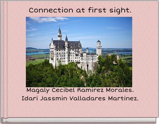 Front cover of 'Connection at first sight.' 