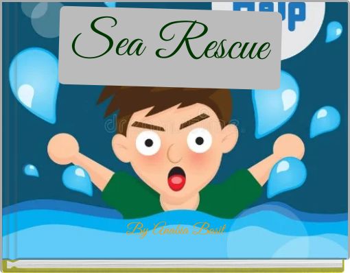 Book Cover for: Sea Rescue