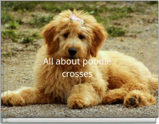 Front cover of 'All about poodle crosses' 