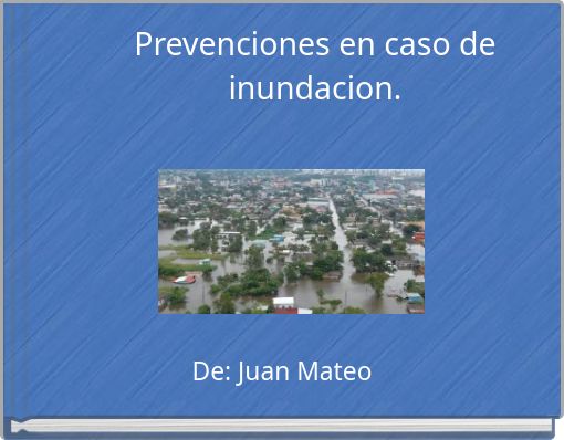 Book Cover for: Prevenciones en caso de inundacion.