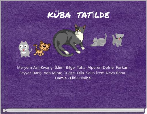 Book Cover for: KÜBA TATİLDE