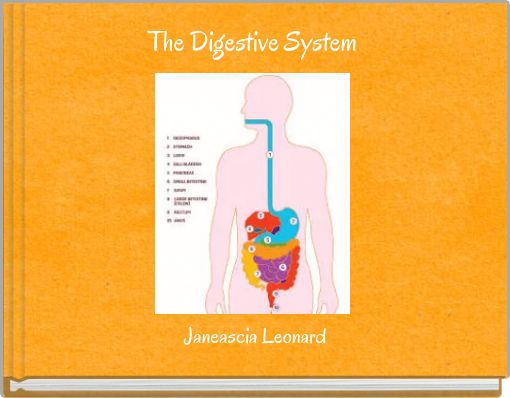 The Digestive System