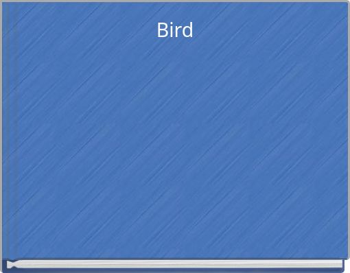 Front cover of 'Bird' 