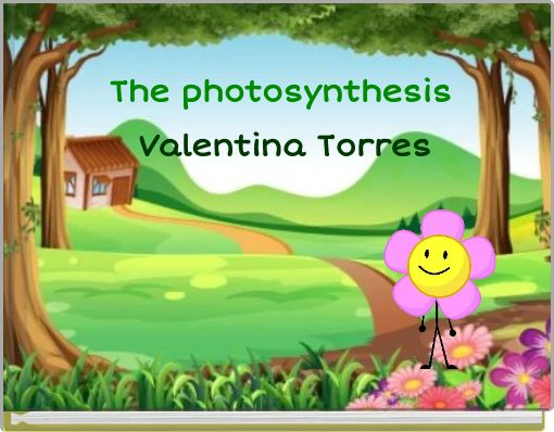 The photosynthesis