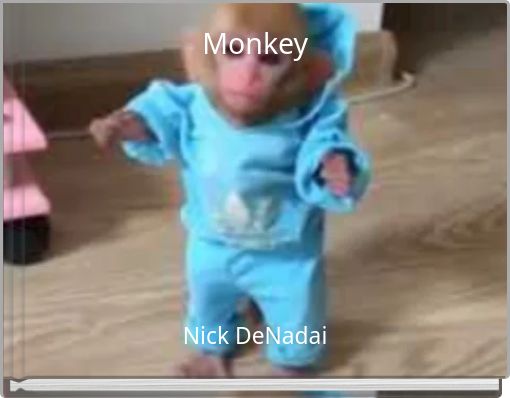 Monkey