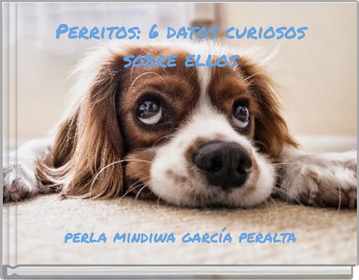 Perritos: 6 datos curiosos sobre ellos