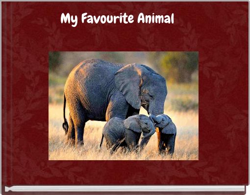 My Favourite Animal