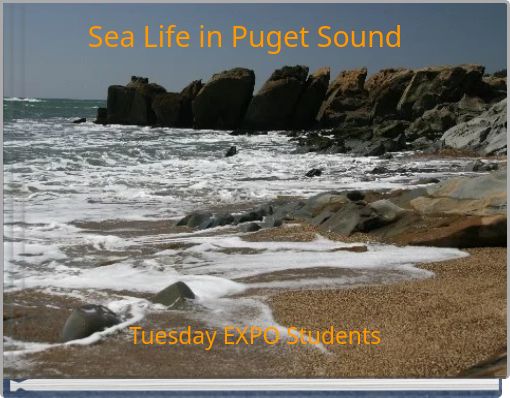 Sea Life in Puget Sound