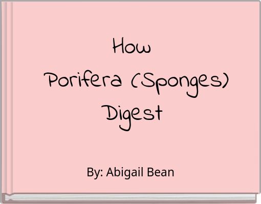 How Porifera (Sponges) Digest