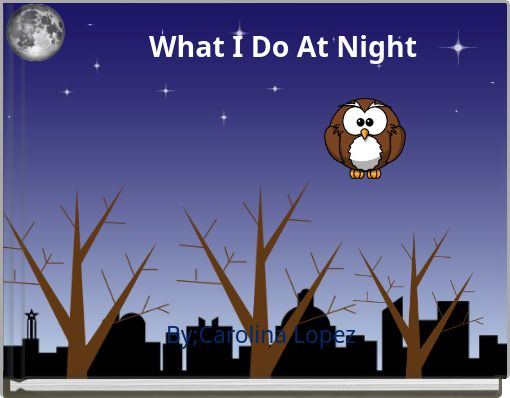 What I Do At Night