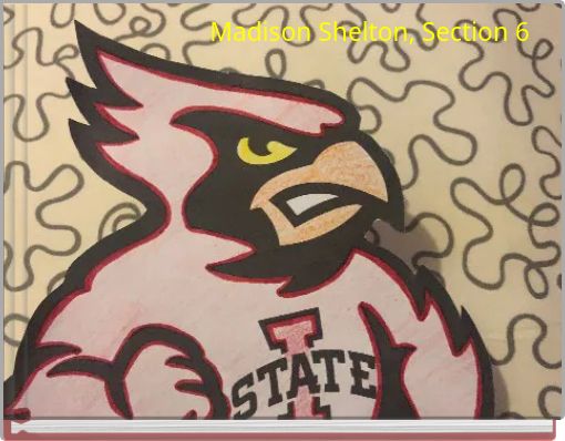 Madison Shelton, Section 6