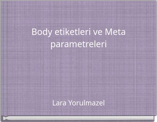 Body etiketleri ve Meta parametreleri