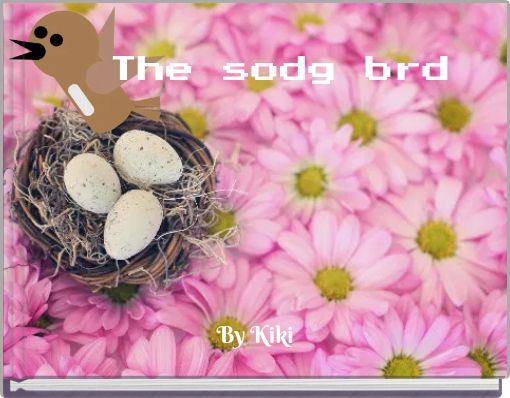 The sodg brd