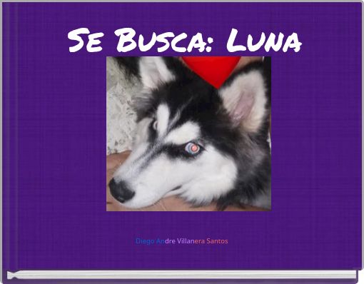 Se Busca: Luna