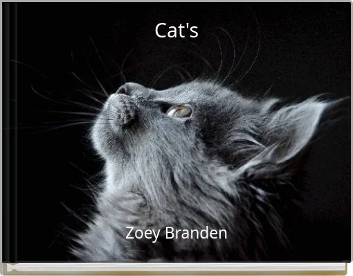Cat's