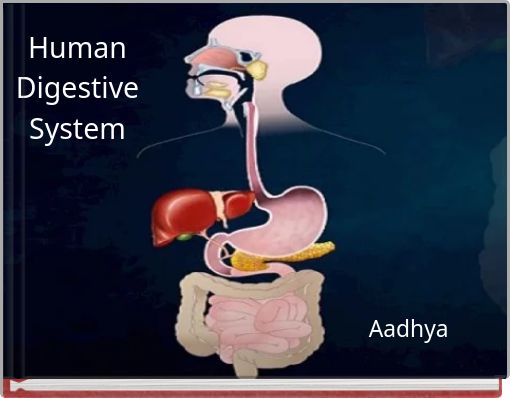 Front cover of 'Human Digestive System' 