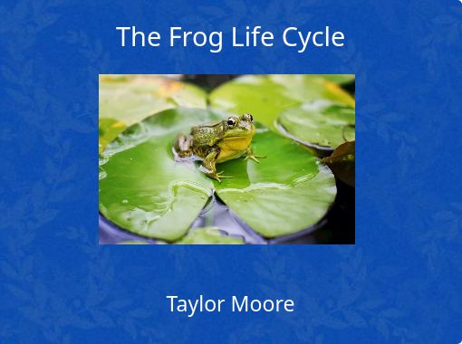 Frog cycle deals online