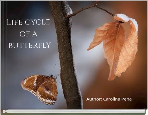 Life cycle of a butterfly