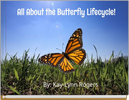 All About the Butterfly Lifecycle!