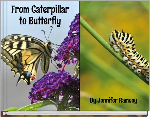 From Caterpillar to Butterfly