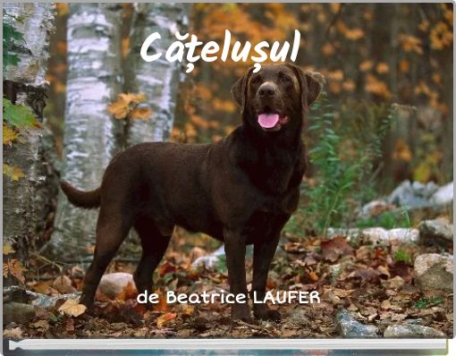 Front cover of 'Cățelușul' 