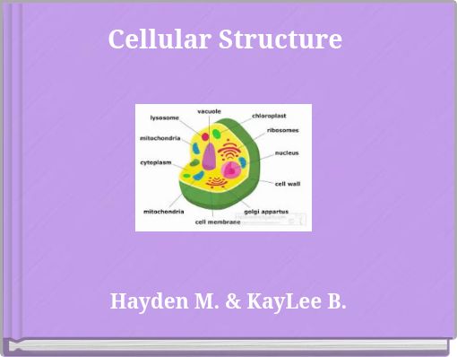 Cellular Structure